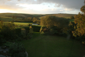 view from the garden